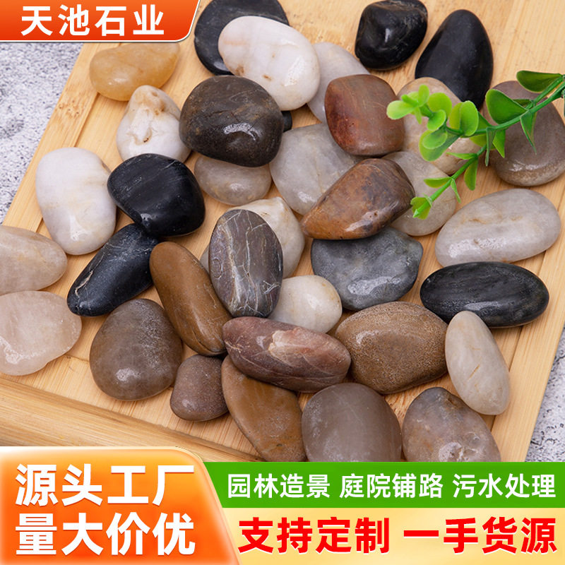 南京五彩精品鹅卵石铺路造景庭院装饰花盆鱼缸水池垫底天然石