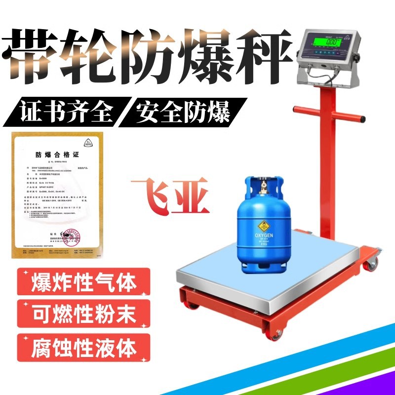 飞亚EX650本安防爆500kg电子秤