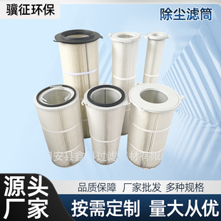 厂家供应工业焊接烟尘325 860除尘滤芯PTEF覆膜滤筒