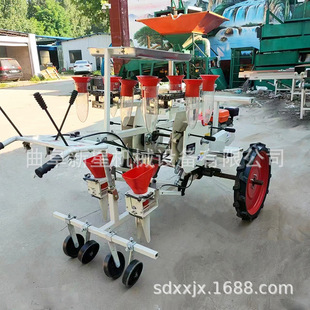 辣椒西红柿汽油移栽机供应苗杯2行4行移栽机自走式蔬菜苗移栽机