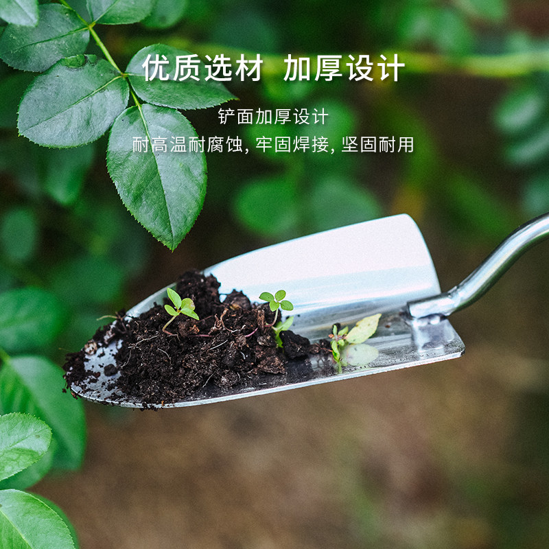 园艺工具家用小铁铲多肉种植不锈钢铲子户外挖土神器盆栽花铲铁锹,鲜花速递/花卉仿真/绿植园艺,铲子,淘宝优惠券,粉丝福利购,淘宝优惠卷