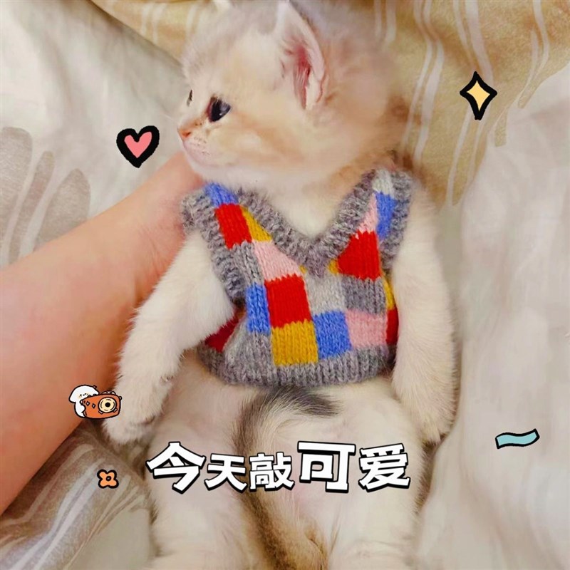 狗狗秋冬狗狗猫咪毛衣宠物编织毛线背心泰迪博美幼犬两马甲