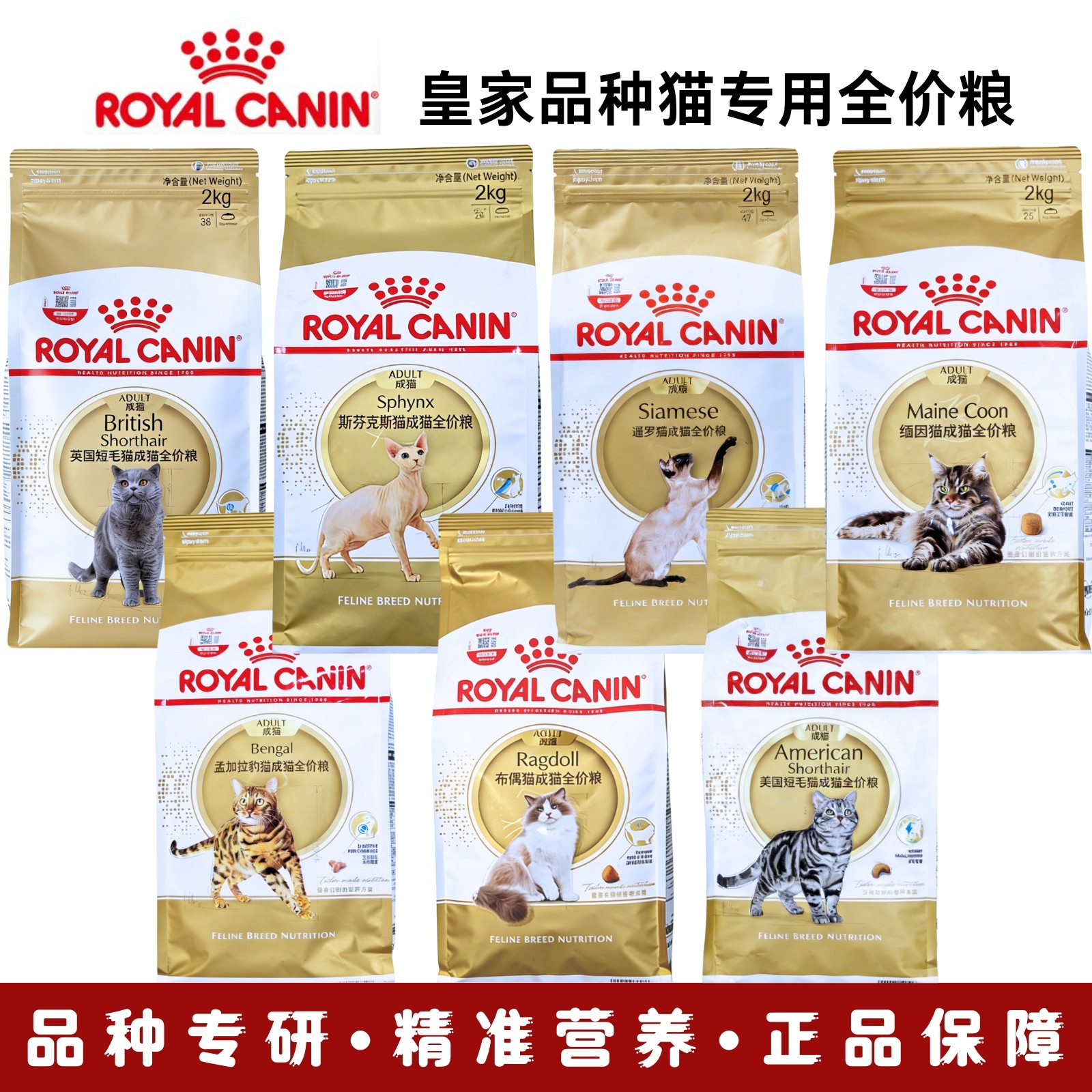 皇家全系列品种猫粮英短美短布偶