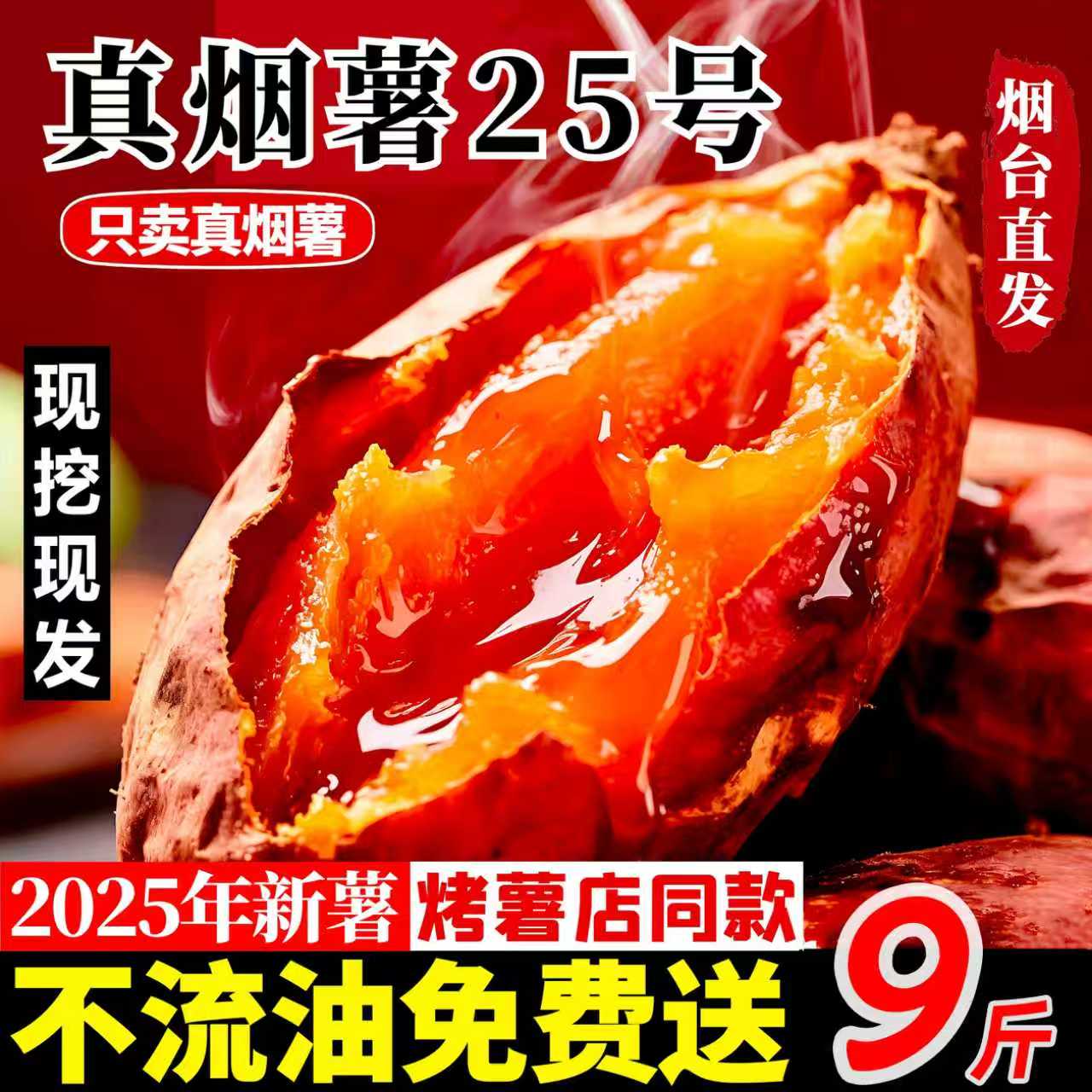 【精选特大果】山东特产烟薯25号