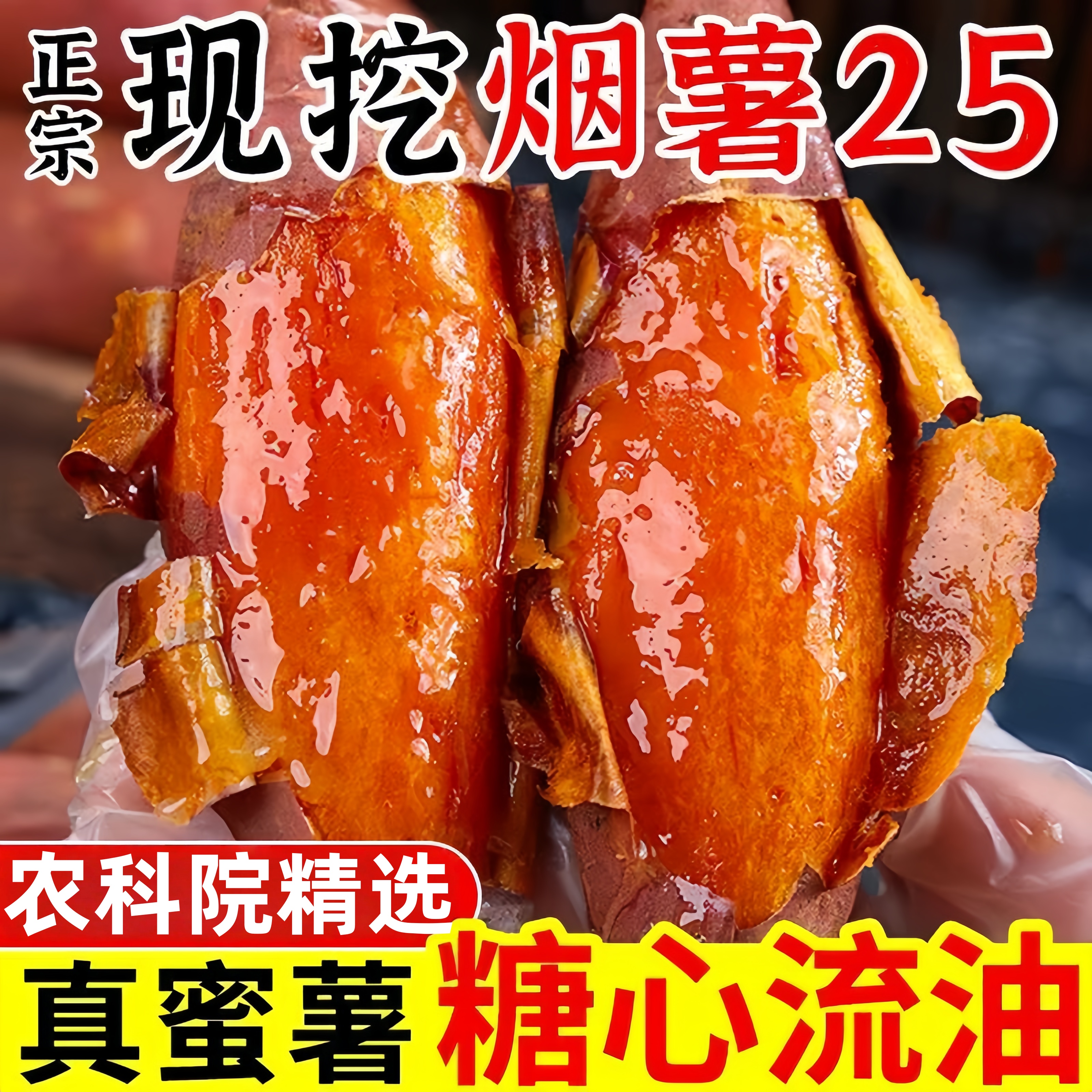 【农科院精选】山东糖心烟薯25号