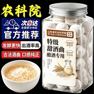 做糯米酒的甜酒曲官方旗舰店纯植物家用酿酒醪糟老式无添加甜酒曲