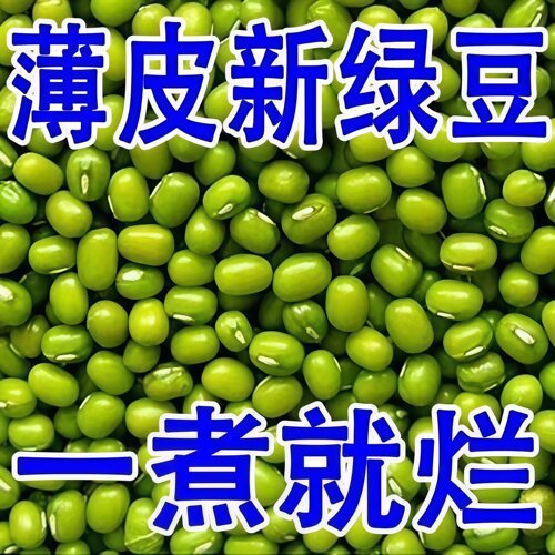 新鲜绿豆 清热解暑 低脂高纤 高蛋白 低脂肪