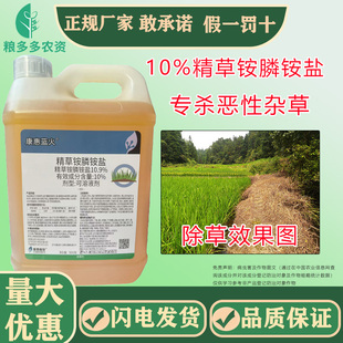 蓝火10%精草铵磷草铵膦铵盐除草剂精草胺磷草安磷果园荒地除草剂