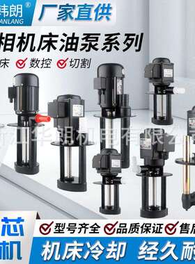 电泳数控机床冷泵循环三相电泵单ABDB却TLWJCB系列型号全铸齐铝铜