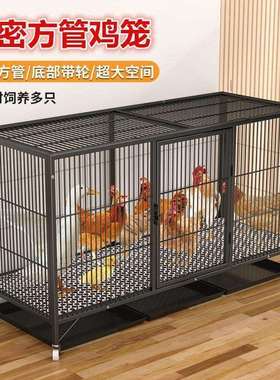 鸡笼号加叠粗子家用鸡笼大特大号清粪折养养殖笼铁丝网鸭cp#71536