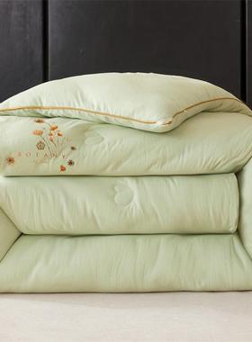 HFRA类婴级豆芯大被子加厚保暖冬被被春秋被单人学生母宿舍被子