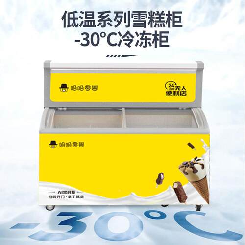 无人冷冻全自动售货机淇NDB淋糕卖柜智能24小冰时自助售雪机厂家