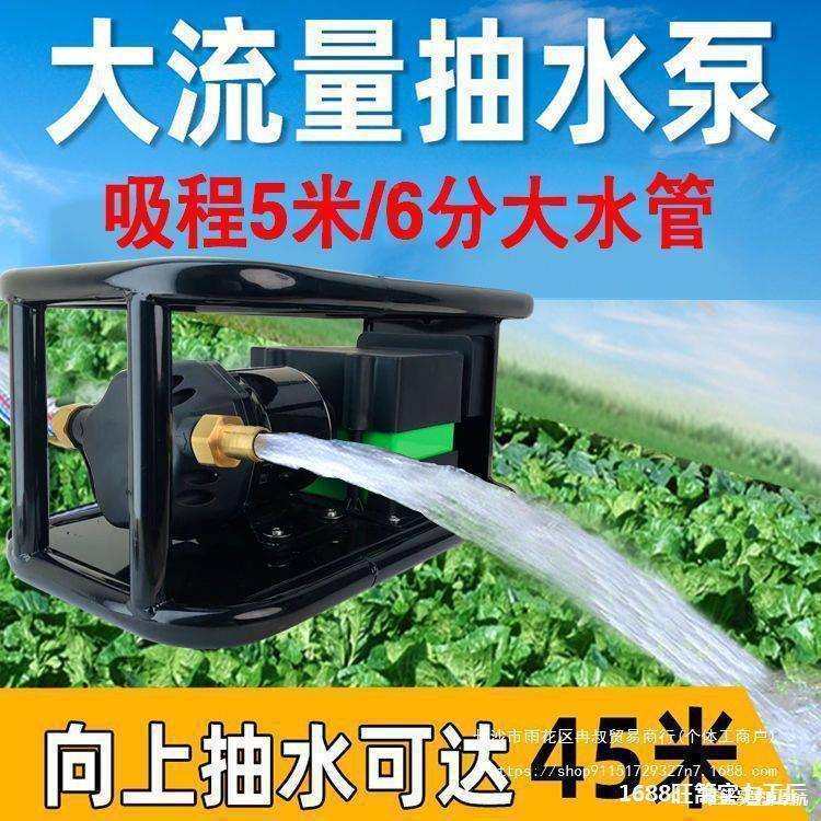 泵用抽2水浇菜自吸电动充电式1v家水SZU24v直流农用大功率抽机