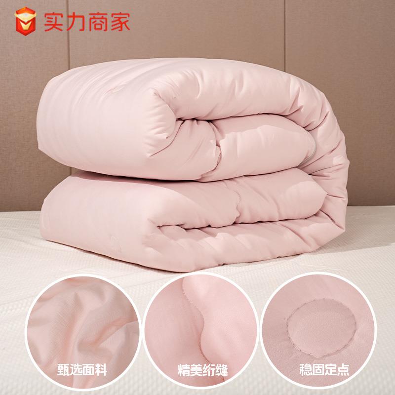 冬天季厚冬被纤维棉被柔软透气被芯DB08201学生宿舍被子冬被加季