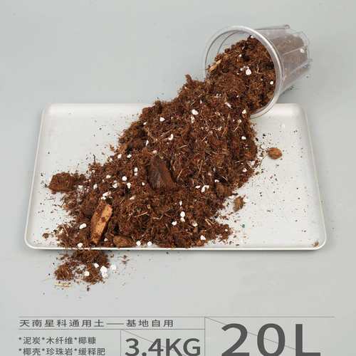 /叶物观通土天67982310南星科植料用绿植植营养土
