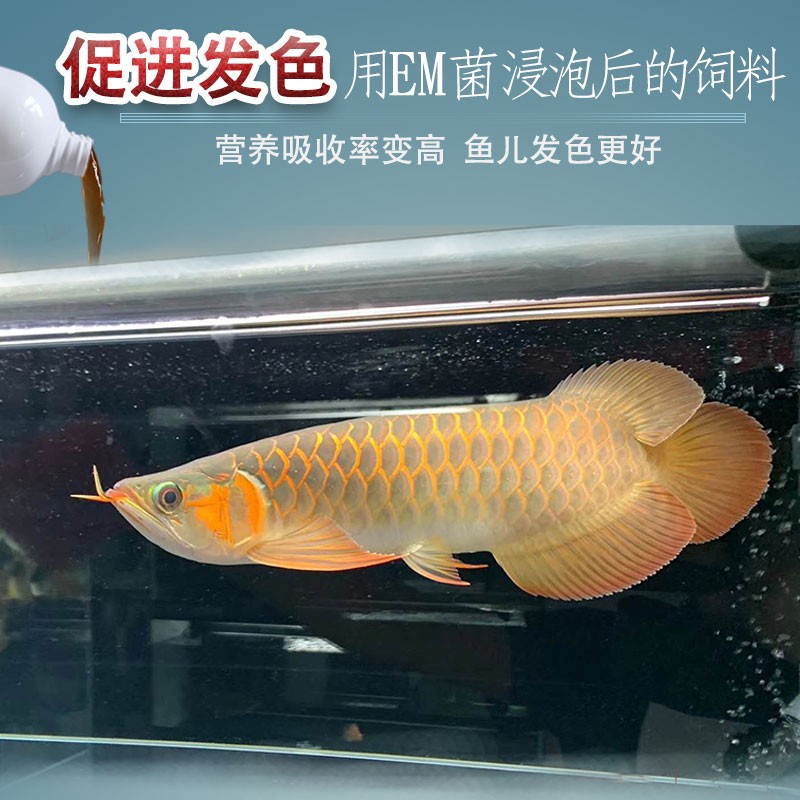 十川鱼缸净水剂一滴清em菌原液益生菌硝化菌净水去异味消毒杀菌药图片