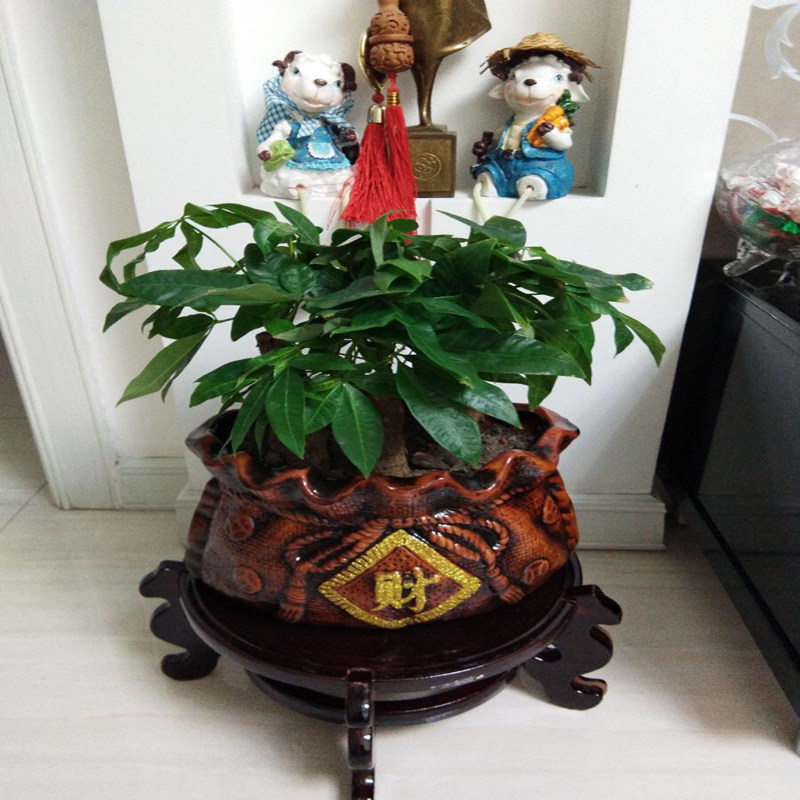 实木花盆架子鱼缸架客厅落地式花架桌面木质简约置物架摆件底座架,鲜花速递/花卉仿真/绿植园艺,花架,淘宝优惠券,粉丝福利购,淘宝优惠卷