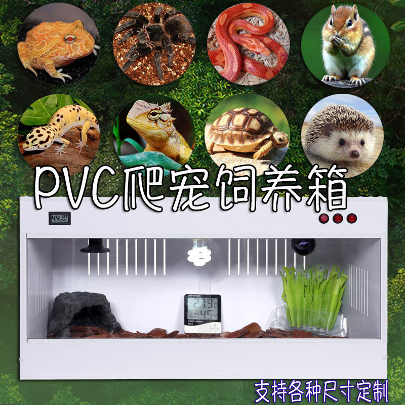 pvc爬箱爬虫饲养箱鬃狮蜥蜴陆龟蛇鹦鹉刺猬鸟加热爬宠保温箱定制