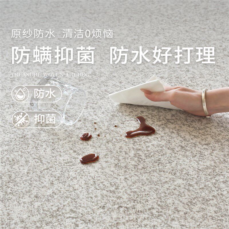 地毯客厅卧室2025新款无胶免洗可擦防水轻奢高级隔音家用沙发地垫