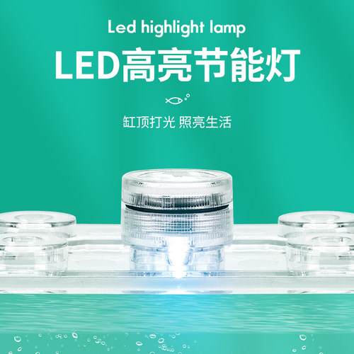 泰国斗鱼缸高透亚克力网红创意客厅家用桌面小型积木盒造景全套件