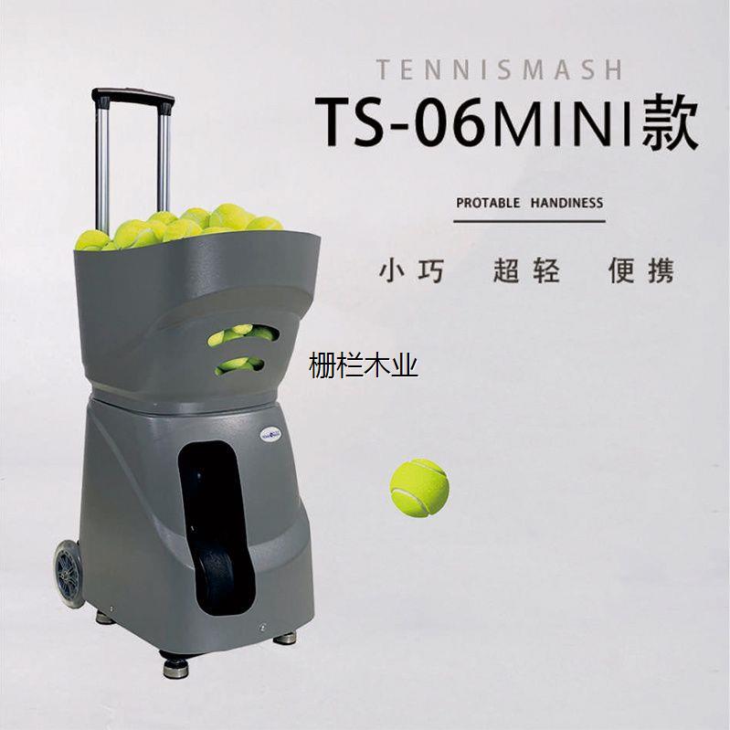 特尼斯曼TS-06新款MINI网