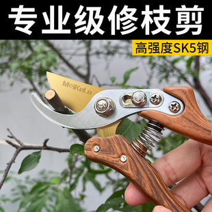 修枝剪园艺剪刀剪树枝专用园林A修剪果树修枝花艺修花剪剪枝剪粗