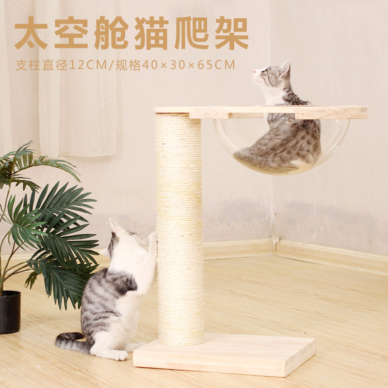 透明太空舱猫窝猫爬架一体实木小型剑麻猫抓柱猫咪用品防猫抓沙发,宠物/宠物食品及用品,猫爬架,淘宝优惠券,粉丝福利购,淘宝优惠卷