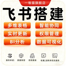 飞书搭建多维表格wps定制自动化审批数据仪表盘分析编程BI代制作