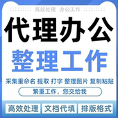 代办公整理文件文档图片人工分类excel重命名归类数据填写工地作