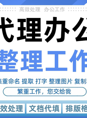 代办公整理文件文档图片人工分类excel重命名归类数据填写工地作