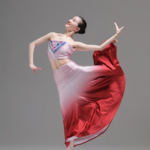 傣族舞蹈a服女生夏季成人少数民族艺考演出练功服装表演鱼尾包臀