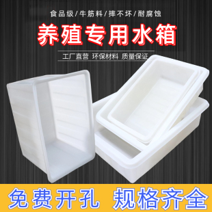 加厚牛筋水箱塑料桶方桶长方形大容量养鱼卖鱼养殖家用储水大水桶