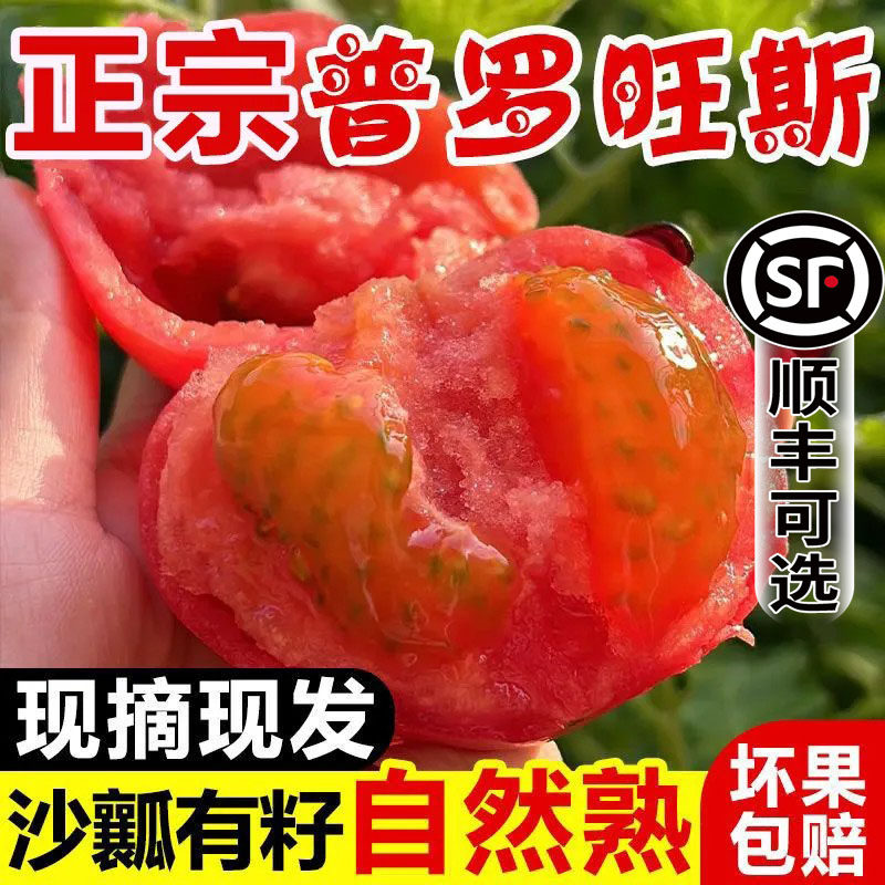 山东普罗旺斯生吃西红柿新鲜沙瓤自然熟水果番茄粉柿应季整箱包邮