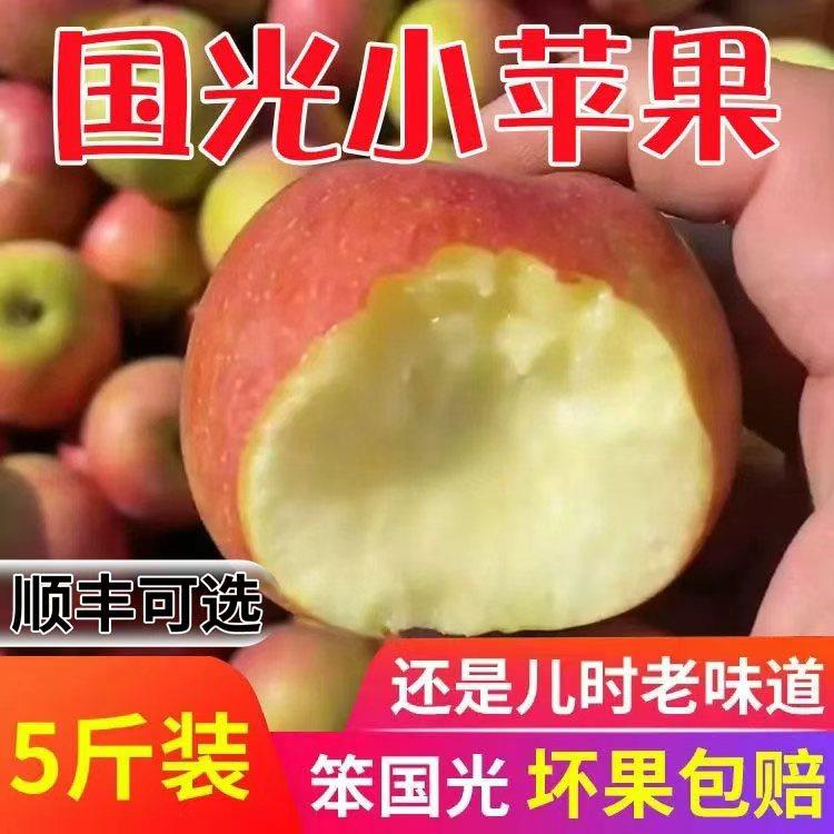 正宗东北国光苹果老式笨苹果新鲜苹果酸甜脆丑苹果怀旧果孕妇儿童