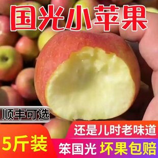 正宗东北国光苹果老式笨苹果新鲜苹果酸甜脆丑苹果怀旧果孕妇儿童