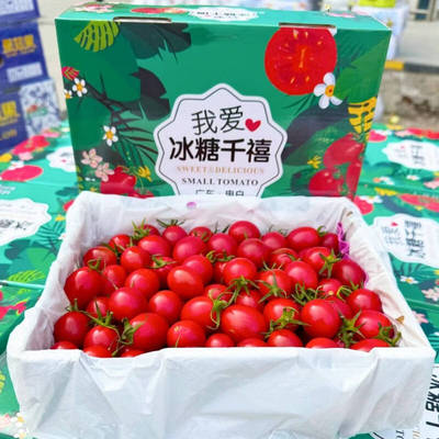 【茂名发货】现广东电白冰