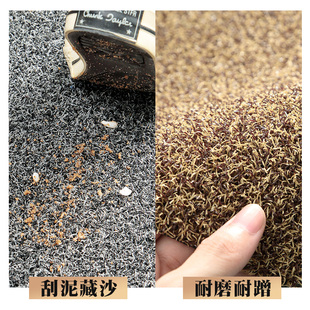 入户门地垫门垫进门门外脚垫家用玄关防滑垫子门口踩脚垫地毯定制