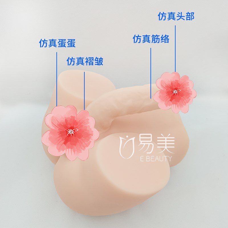热销人体结构教学男性仿真实模型生活系统手法练习道具硅胶真人倒