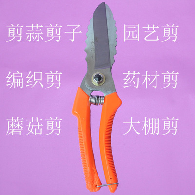 热销大蒜剪刀修枝剪果枝花枝剪非电动剪刀药材蘑菇剪多用途弹簧剪