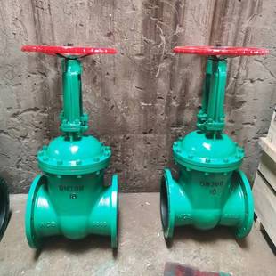 防腐软密封法兰闸阀 Z41J 衬胶闸阀 DN65 衬氟衬胶闸阀 16C