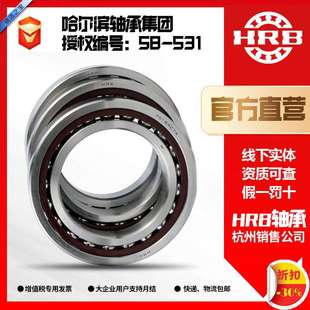 HRB P4DBB配對(duì)滾動(dòng)絲杠軸承杭州直銷 哈爾濱軸承7602045TN