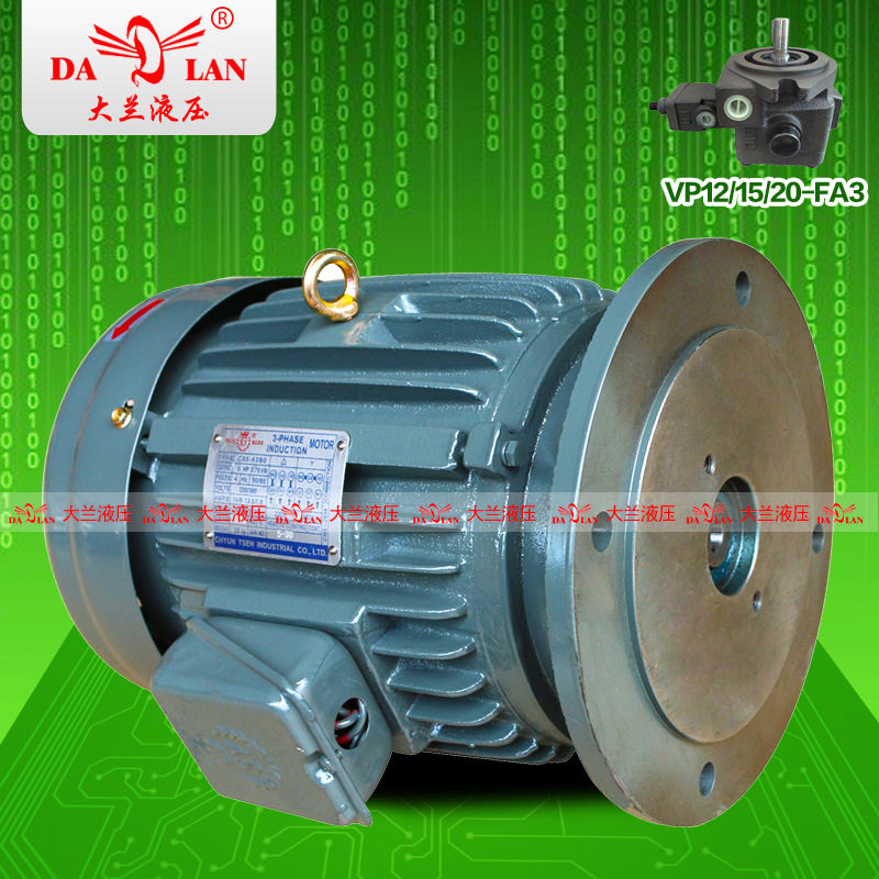 1HP台湾S.Y群策油压电机 立式VP20油泵专用电机C01-43B0-0.75KW
