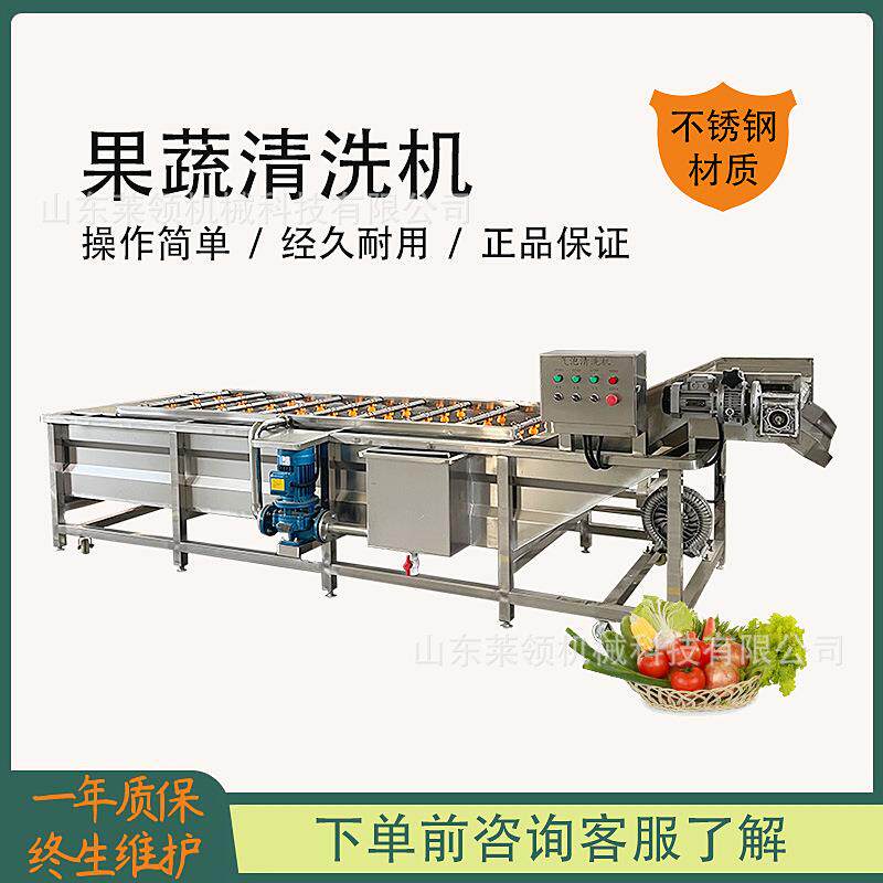 草莓翻浪式气泡清洗机循环水式果蔬清洗去泥机多功能菠菱菜洗菜机