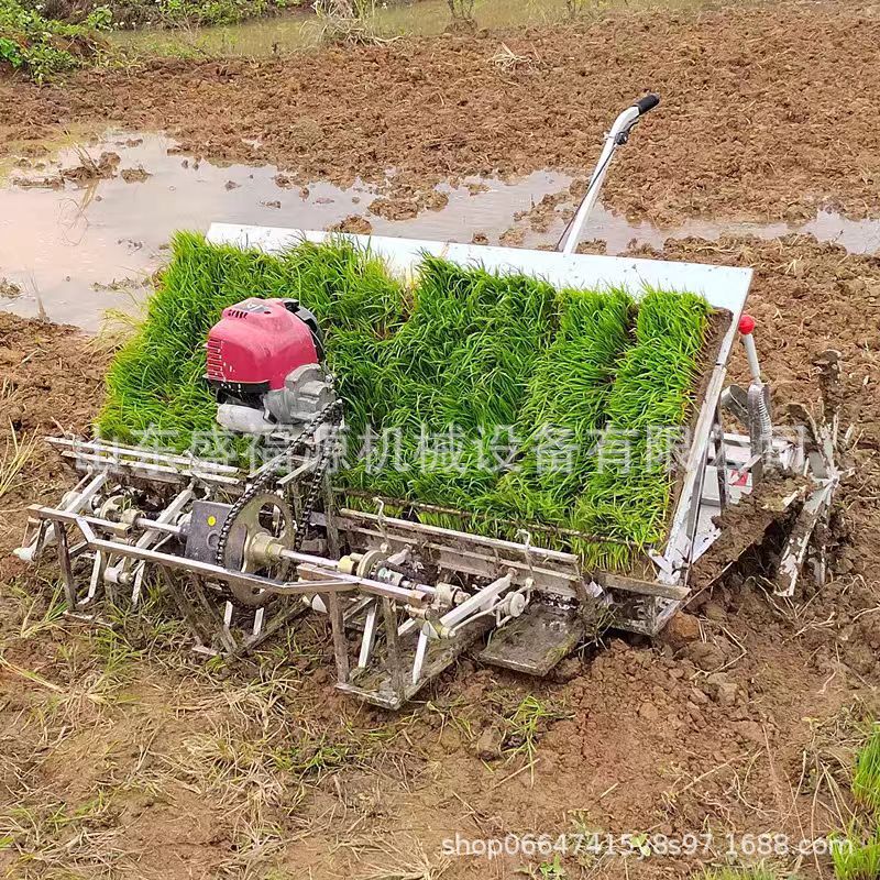 汽油款6行插秧机高速乘坐式柴油款高插机农用水田轮种植机