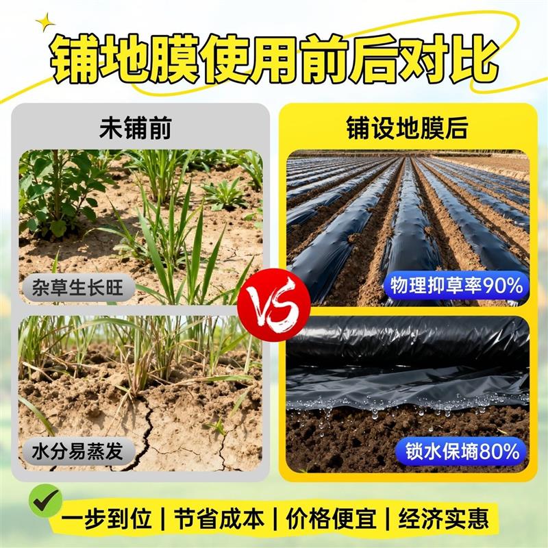 热销草莓专用地膜黑色加厚农用种植塑料薄膜防草布除草菜园保温防