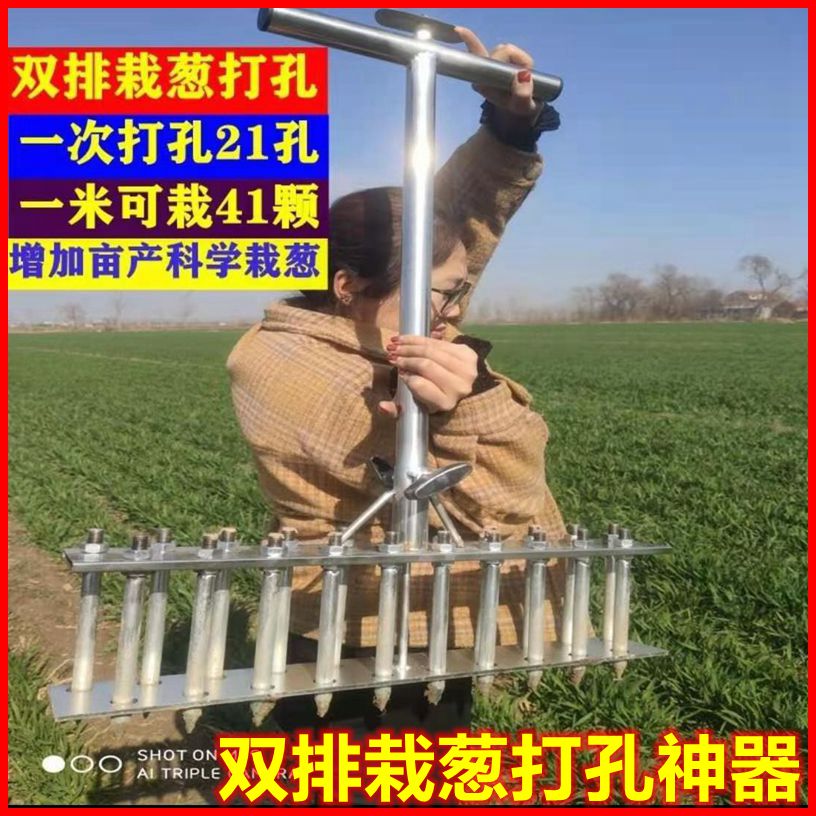 热销双排栽葱插葱神器葱叉子扎眼打孔神器大葱寒葱洋葱种菜移栽移