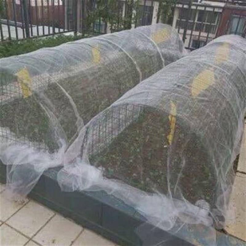 热销防虫网大棚果园防护网蔬r菜纱网窗防蚊虫害防柳絮棉围网白色