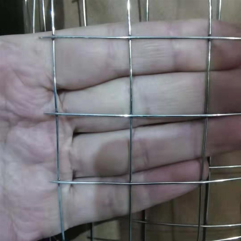 热销热销新品镀锌铁丝电焊网片养殖网围栏网钢丝网狗笼Q小孔加粗
