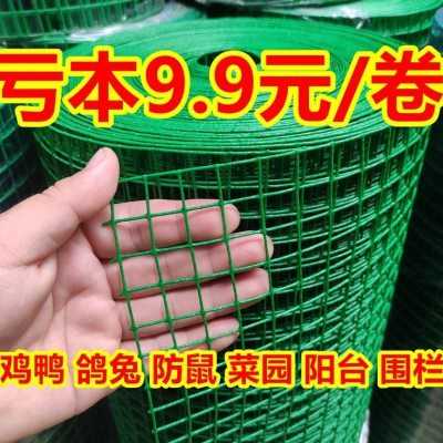 热销防锈小孔铁丝网养殖鸡鸭网防鼠猫鸽兔阳台防护网果园菜园圈地