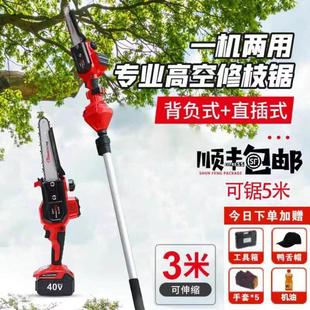 高空修剪树枝锯伸缩加长杆 锂电电动高枝锯充电式 德国原装 进口正品